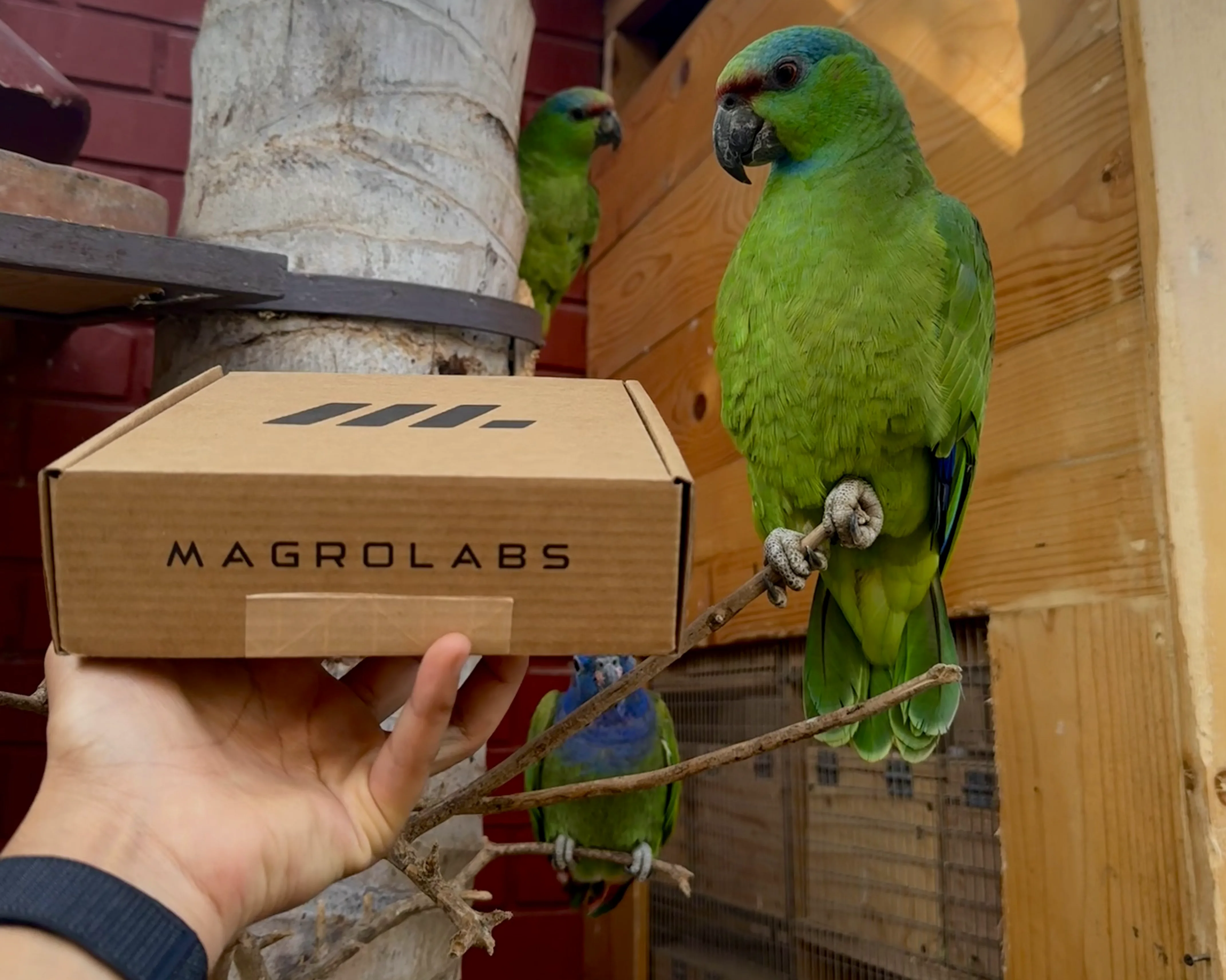 Packaging eco amigable de Magrolabs con materiales reciclados y sostenibles